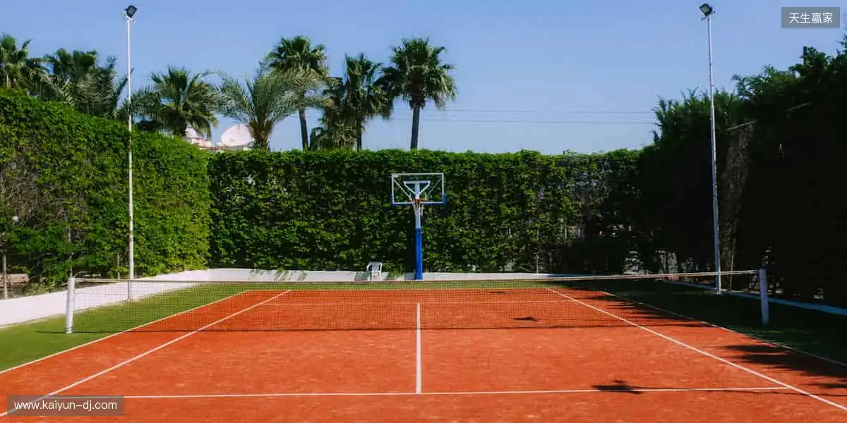 实时直播，超清体验📺